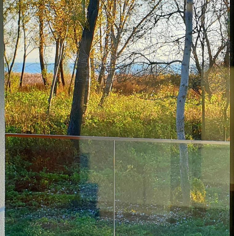 Blue4 Apartment Balatonfůzfő 外观 照片